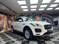 Jaguar E-Pace E-Pace 2.0D 150 CV AWD MOTORE DIFETTOSO (770) Blanc - thumbnail 3