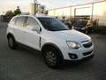 Opel Antara 2.4 Design Edition Білий - thumbnail 2