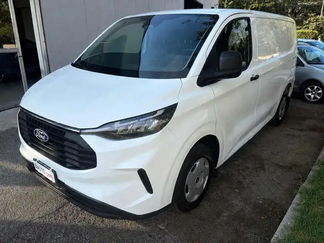 Ford Transit Custom view 2