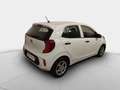 Kia Picanto CONCEPT 1.0 CVVT 67 CV 5P - thumbnail 3