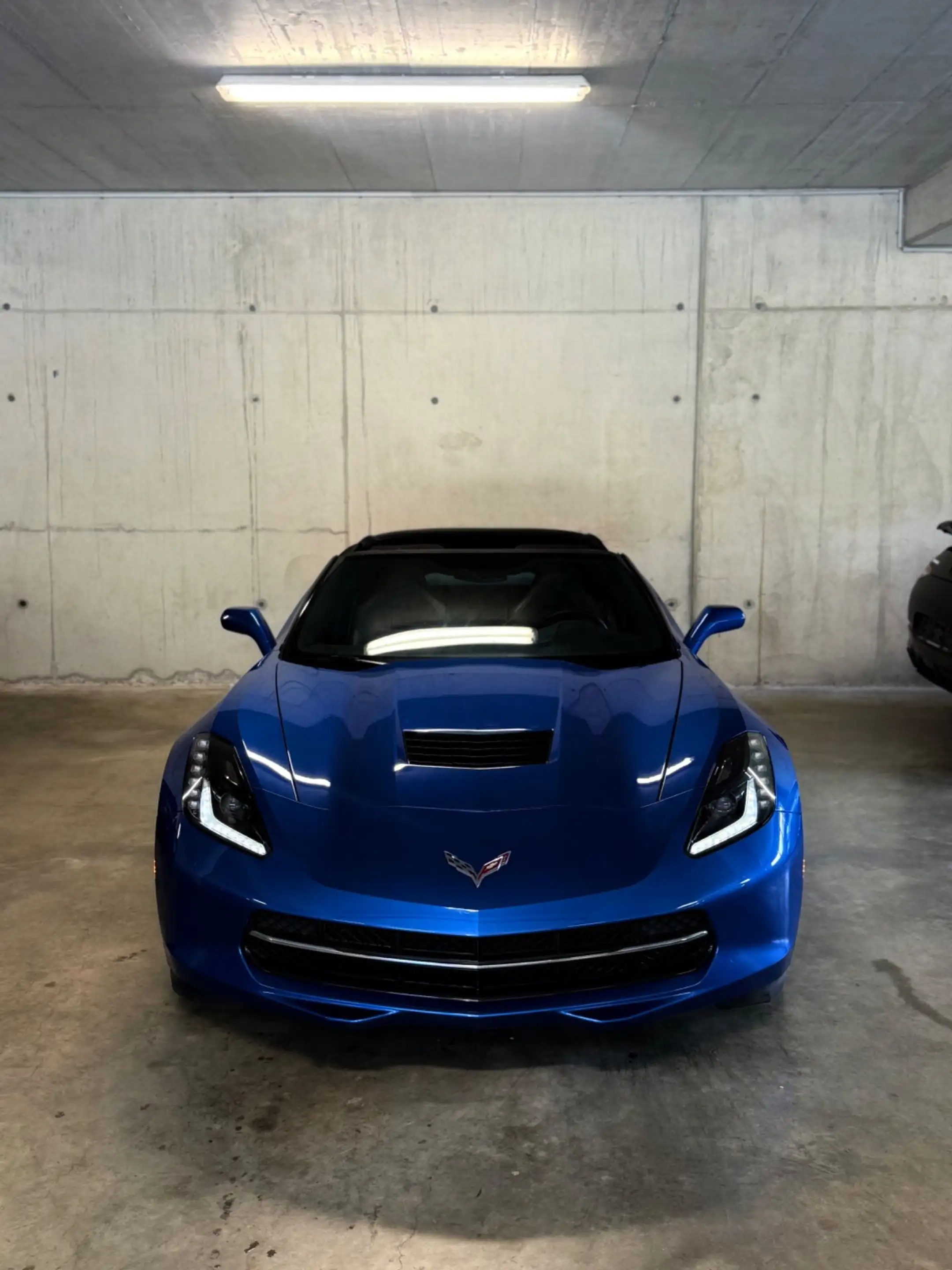 Corvette C7 Stingray Z51 1LT *BOSE*TARGA — photo 6