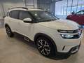 Citroen C5 Aircross BlueHDi 130 S&S 6v Shine (solo stock) Blanco - thumbnail 3
