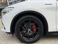 Alfa Romeo Stelvio Stelvio 2.2 JTD Super⚠️GARANTIE 12 MOIS⚠️ White - thumbnail 11