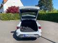CUPRA Leon Sportstourer 1.5 e-HYBRID DSG, NAVI, RFK Weiß - thumbnail 15