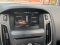 Ford Focus 125 Ps Blau - thumbnail 12