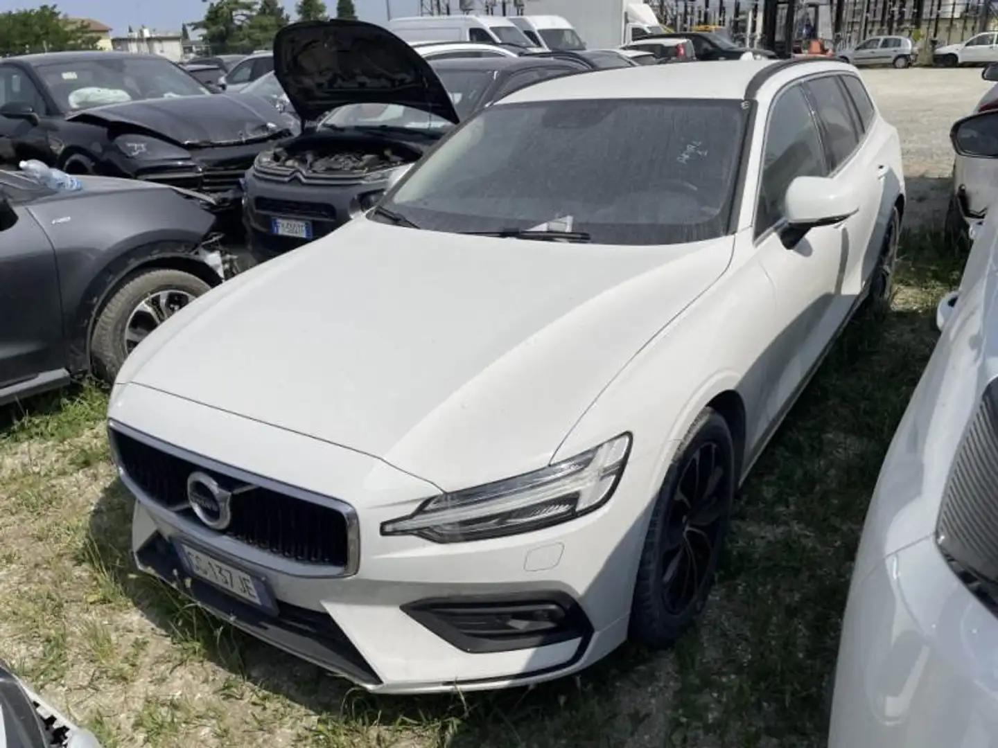 Volvo V60 V60  2.0 b4 Momentum Business Pro auto -  GG137JE Bianco - 2