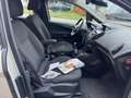 Ford B-Max 1.0 EcoBoost Titanium Camera,Trekhaak,Navi Grijs - thumbnail 16