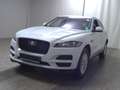 Jaguar F-Pace 30d Prestige AHK HUD Navi ACC PDC Weiß - thumbnail 2