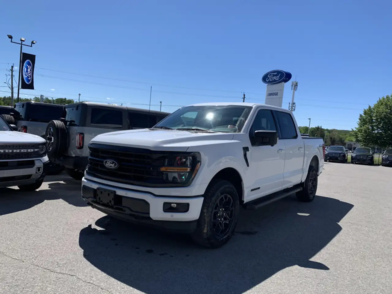 2026 Ford F 150