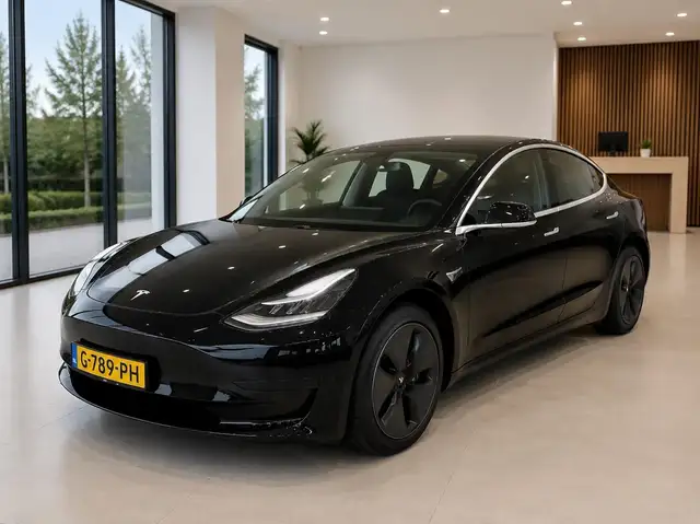 Tesla Model 3 Standard RWD Plus 60 kWh