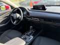 Mazda CX-30 CX-30 X186 AWD GT+ A CX-30 X186 AWD GT+ Aut. Rot - thumbnail 20