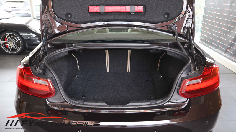 BMW 218 218 d Luxury Line — photo 10