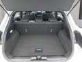 Ford Puma 1.0 EcoBoost Hybrid ST-Line Gris - thumbnail 11