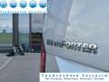 Volkswagen T6 Kombi lang 9sitz DSG LED SHZ GRA PDC AHK Silber - thumbnail 20