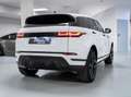 Land Rover Range Rover Evoque 2.0d i4 mhev awd 150cv auto Weiß - thumbnail 23