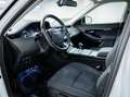 Land Rover Range Rover Evoque 2.0d i4 mhev awd 150cv auto Alb - thumbnail 6