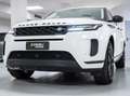 Land Rover Range Rover Evoque 2.0d i4 mhev awd 150cv auto Blanco - thumbnail 21