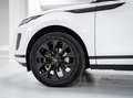 Land Rover Range Rover Evoque 2.0d i4 mhev awd 150cv auto Blanco - thumbnail 18
