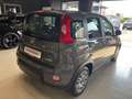 Fiat Panda 1.0 FireFly S&S Hybrid City Life Šedá - thumbnail 5