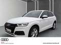 Audi Q5 40 TDI qu. S line S tronic *PANO*AHK*NAV+* Weiß - thumbnail 1