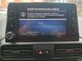 Toyota Proace Family L2 1.5D 7pl. Active Blanc - thumbnail 12