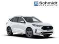 Ford Kuga ST-Line X 2,5L Duratec FHEV 183PS A AWD Weiß - thumbnail 8