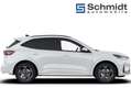 Ford Kuga ST-Line X 2,5L Duratec FHEV 183PS A AWD Weiß - thumbnail 7