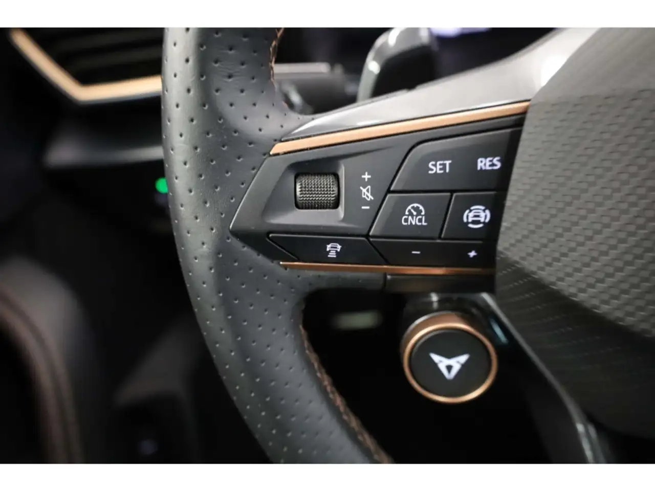 Cupra Formentor 1.5 eTSI DSG NAV/360°/ACC/el.Klappe/SH, миниатюра 10