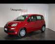 Fiat Panda III 2024 Panda 1.0 firefly hybrid s&s 70cv Rosso - thumbnail 1