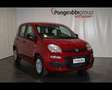Fiat Panda III 2024 Panda 1.0 firefly hybrid s&s 70cv Rosso - thumbnail 3