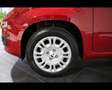 Fiat Panda III 2024 Panda 1.0 firefly hybrid s&s 70cv Rosso - thumbnail 5