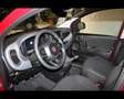 Fiat Panda III 2024 Panda 1.0 firefly hybrid s&s 70cv Rosso - thumbnail 8