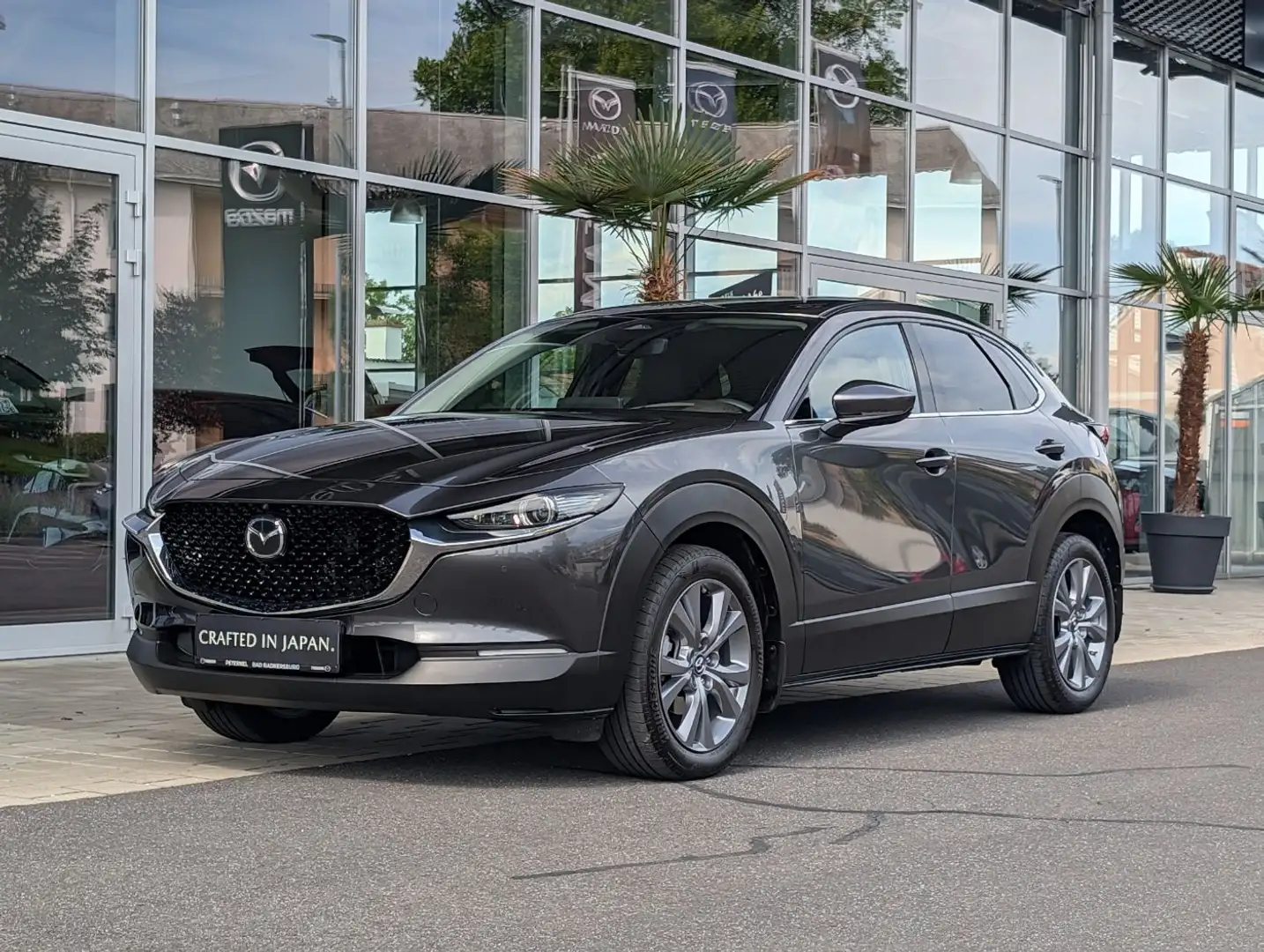 Mazda CX-30 2.5 G140 6AT TAKUMI Leder AUT Grau - 2