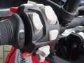 Triumph Tiger 900 GT LOW Rood - thumbnail 10