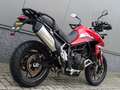 Triumph Tiger 900 GT LOW Rood - thumbnail 3