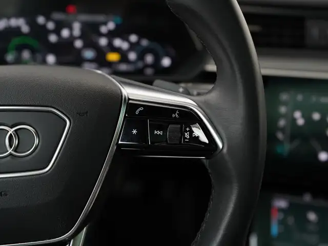Audi E-Tron view 10