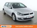 Volkswagen Golf 1.6 TDI Rabbit BlueMotion Tech. Grau - thumbnail 8