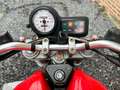 Ducati Monster 600 M600 Rojo - thumbnail 5