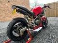 Ducati Monster 600 M600 Rojo - thumbnail 2