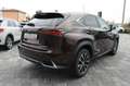 Lexus NX 300h Hybrid Braun - thumbnail 4