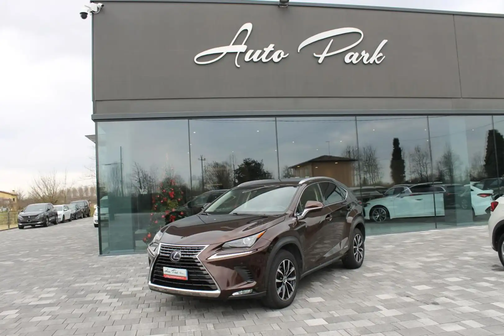 Lexus NX 300h Hybrid Braun - 1