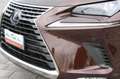 Lexus NX 300h Hybrid Braun - thumbnail 19