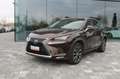 Lexus NX 300h Hybrid Braun - thumbnail 2