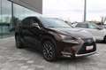 Lexus NX 300h Hybrid Braun - thumbnail 3