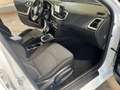 Kia Ceed / cee'd ceed 1,0 T-GDI GPF Silber Weiß - thumbnail 16