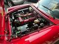 Alfa Romeo Spider Spider 1.6 Duetto 106cv Targa originale Rosso - thumbnail 12