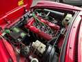Alfa Romeo Spider Spider 1.6 Duetto 106cv Targa originale Rot - thumbnail 16