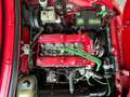 Alfa Romeo Spider Spider 1.6 Duetto 106cv Targa originale Rosso - thumbnail 15