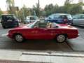 Alfa Romeo Spider Spider 1.6 Duetto 106cv Targa originale Rosso - thumbnail 6