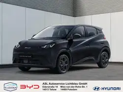 Byd DOLPHIN SURF Comfort